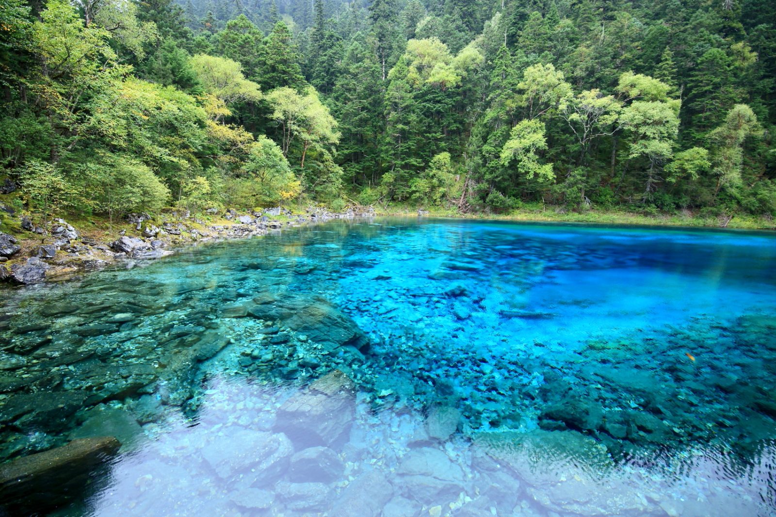 九寨沟五彩池碧蓝湖水